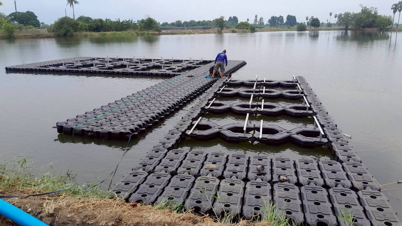 บ้านหนองอีล้ำ จ.อ่างทอง ภาพที่ 18