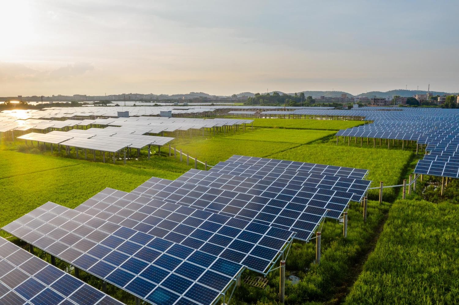 solar farm คืออะไร