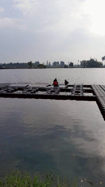 บ้านหนองอีล้ำ จ.อ่างทอง ภาพที่ 11